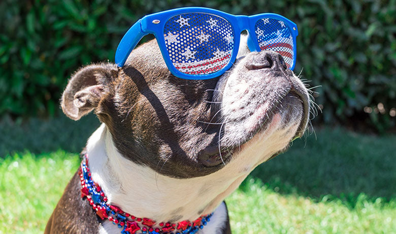 Keeping Your Dog Safe on the 4th of July Snuggle Puppy