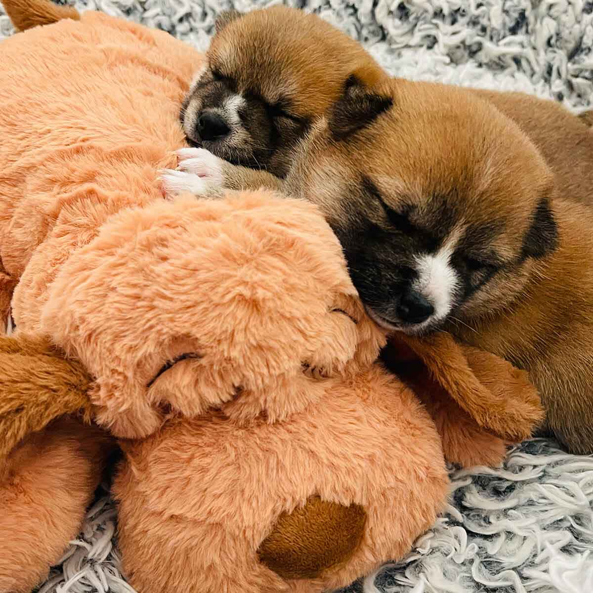 Warm Cuddly Hug Heat Pack