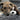 Original Snuggle Puppy®