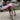 Brown brindle dog standing outside on a concrete patio with pink pig plush water bottle dog toy in its mouth