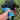 Small black dog standing outside in a field of grass and grabbing a tiny blue dolphin plush dog toy from a human
