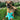 Brown dog laying in the grass with a teal and yellow starfish plush dog toy