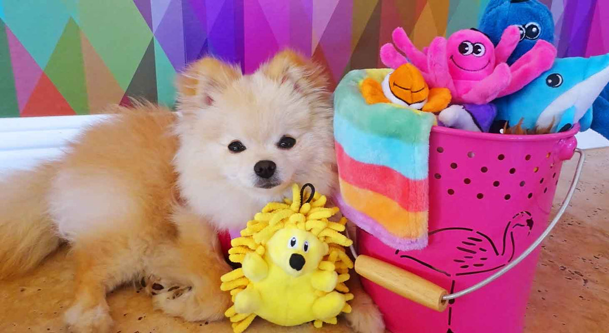 Holiday Stocking Stuffers for Your Dog