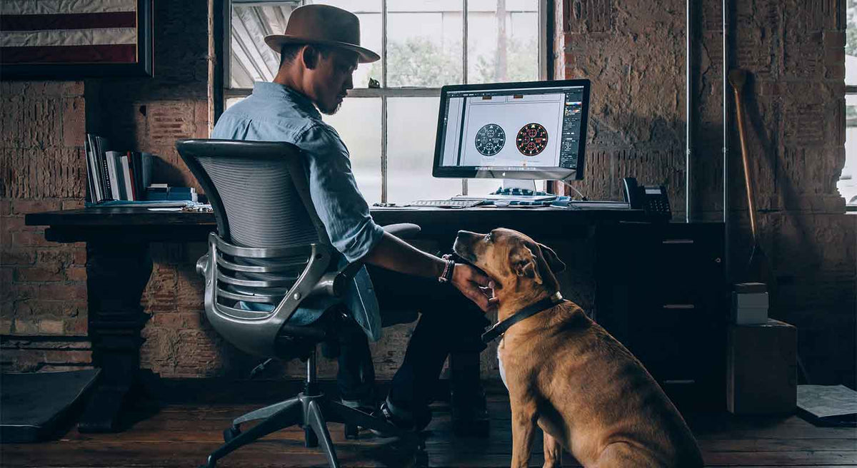 Tips on how to return to work with a dog at home