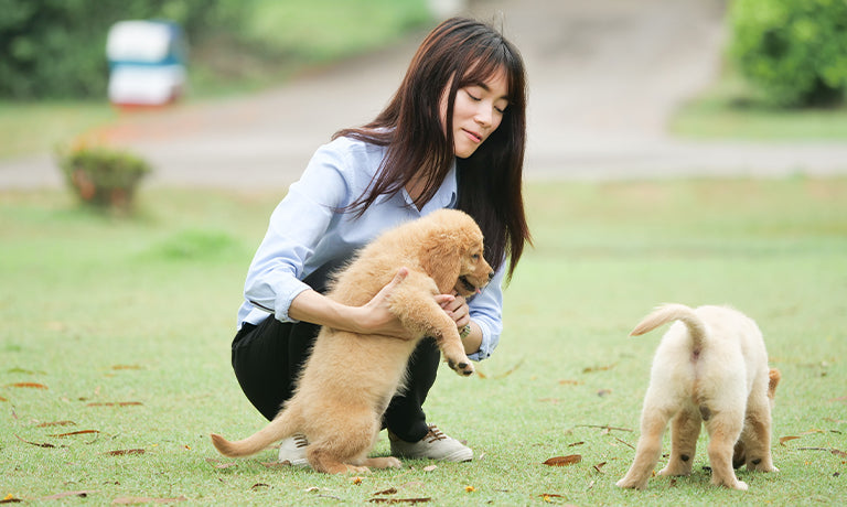 Why Early Socialization Matters