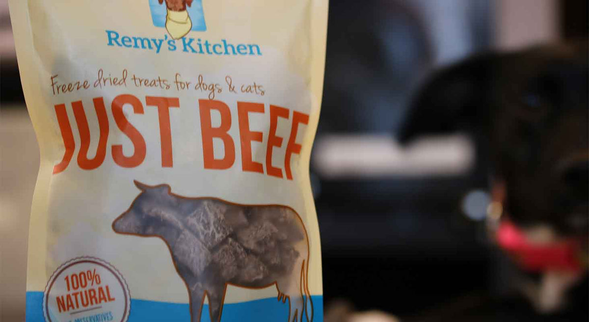 Shopping for Dog Treats: What to Look For