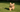 Surviving the Puppy Zoomies: Energy Cycles and How to Manage Them