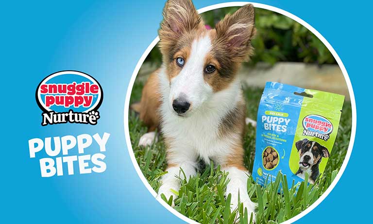 Introducing Puppy Bites: The Premium Supplement Line for Your Furry Friend's Health and Wellness!