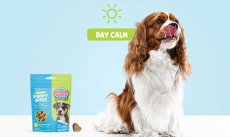 The Science Behind Our Day Calm Supplement