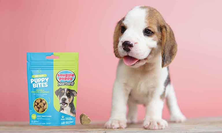 How Supplements Can Help Get Your Puppy Off to the Right Start