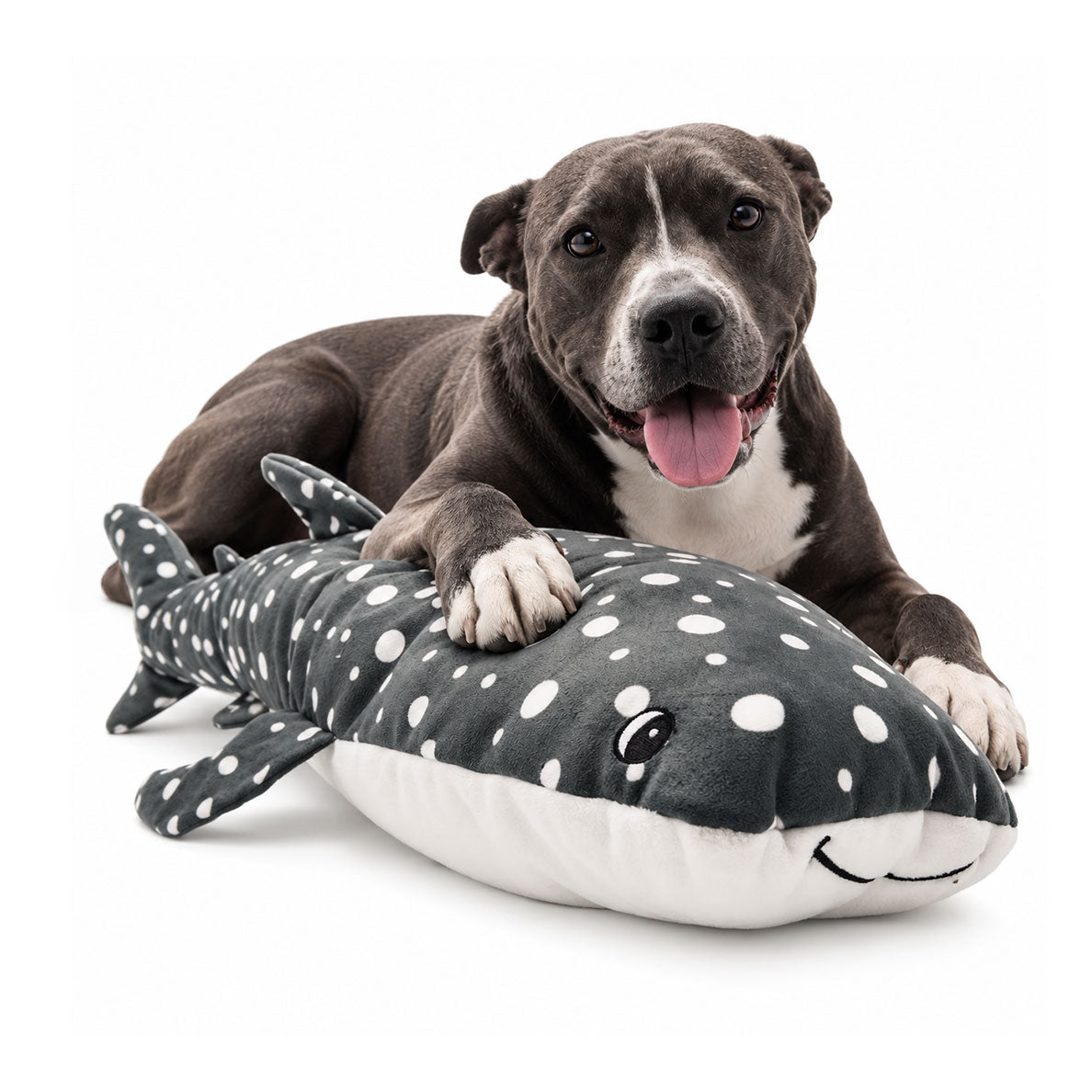 Big Dog Toys