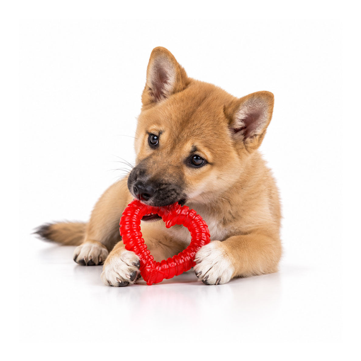 Puppy Teething Toys