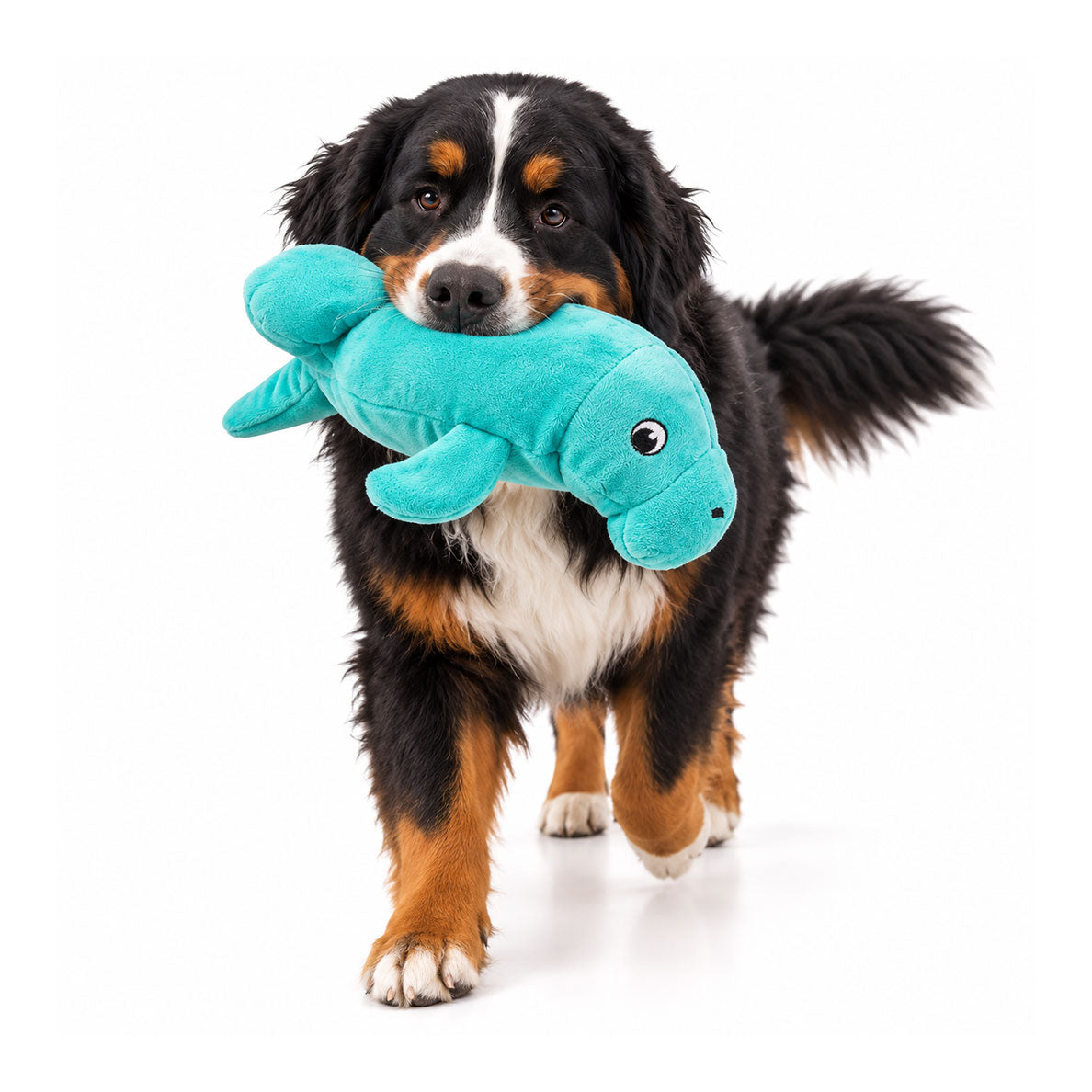 Tough Plush Toys