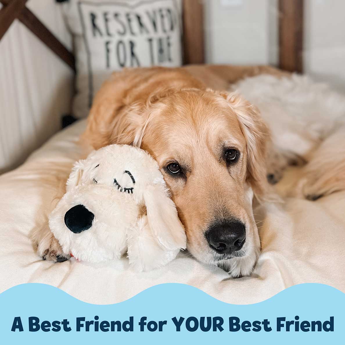 Snuggle Puppy® Cream - Golden Heartbeat Puppy Toy