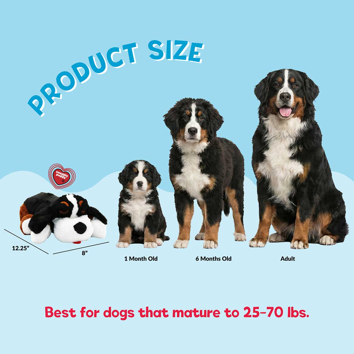 子犬 留守番サポート心拍機能付き　Snuggle Puppy犬用おもちゃ Medium-BB-Bernese_SP158-