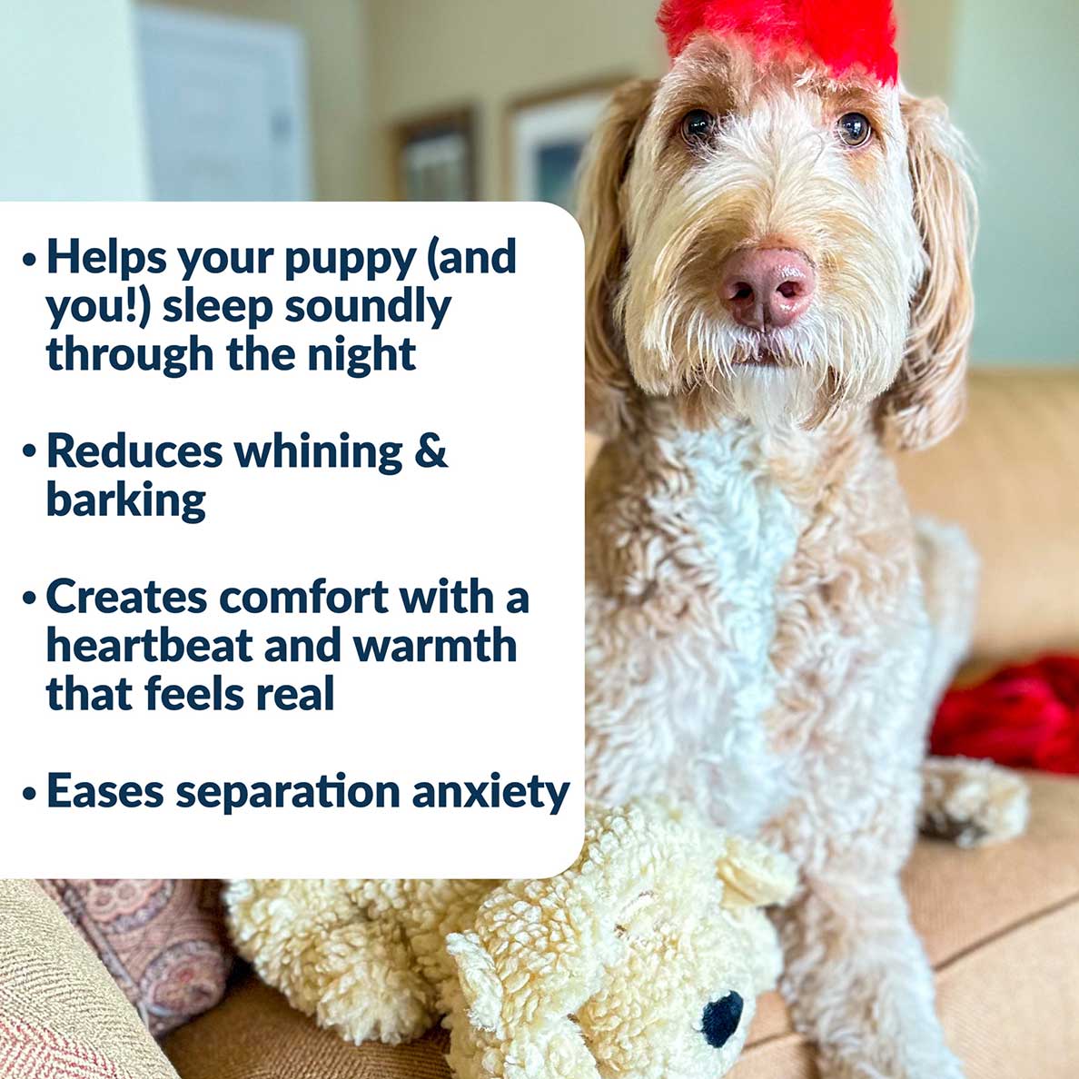 Snuggle Puppy® Doodle - Heartbeat Toy for Poodle Mixes