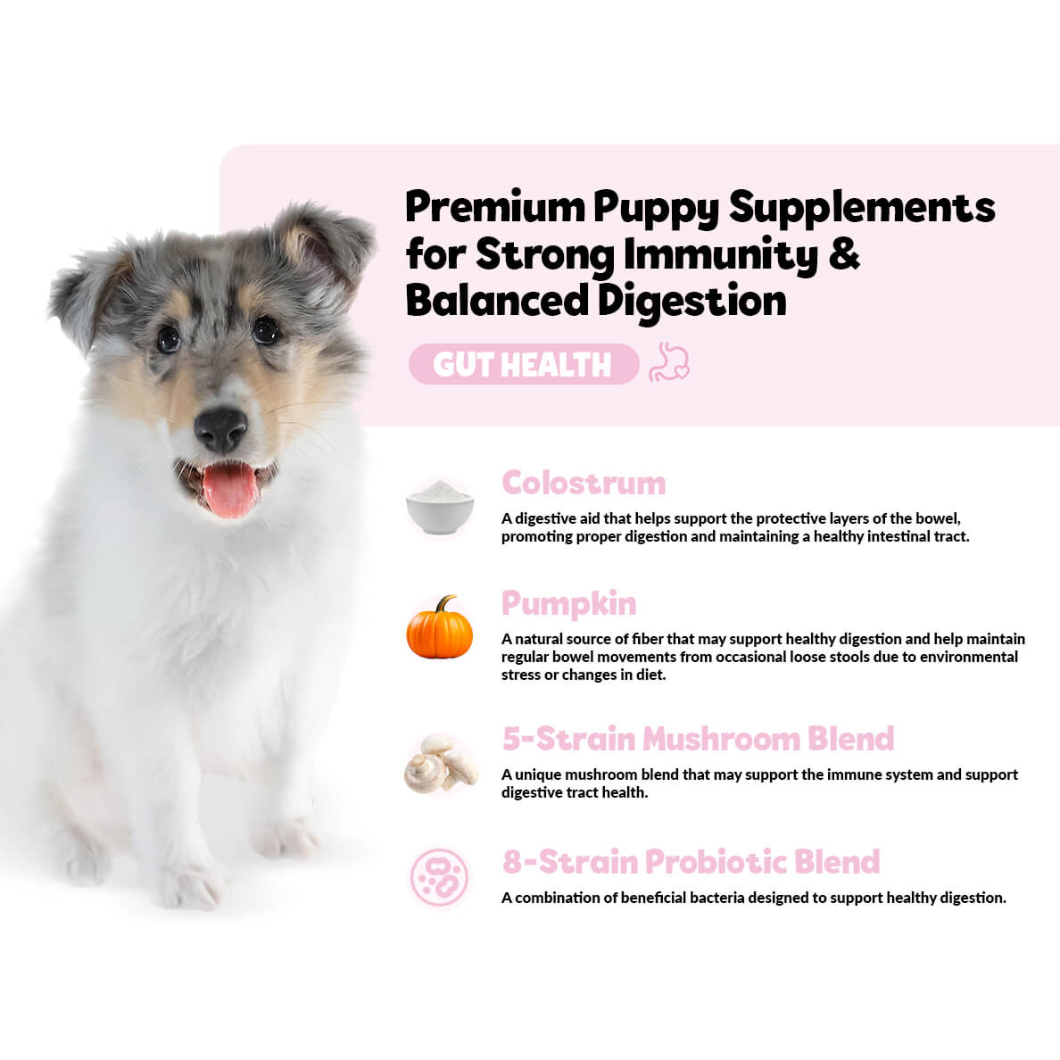 Puppy Bites Gut Health Supplement