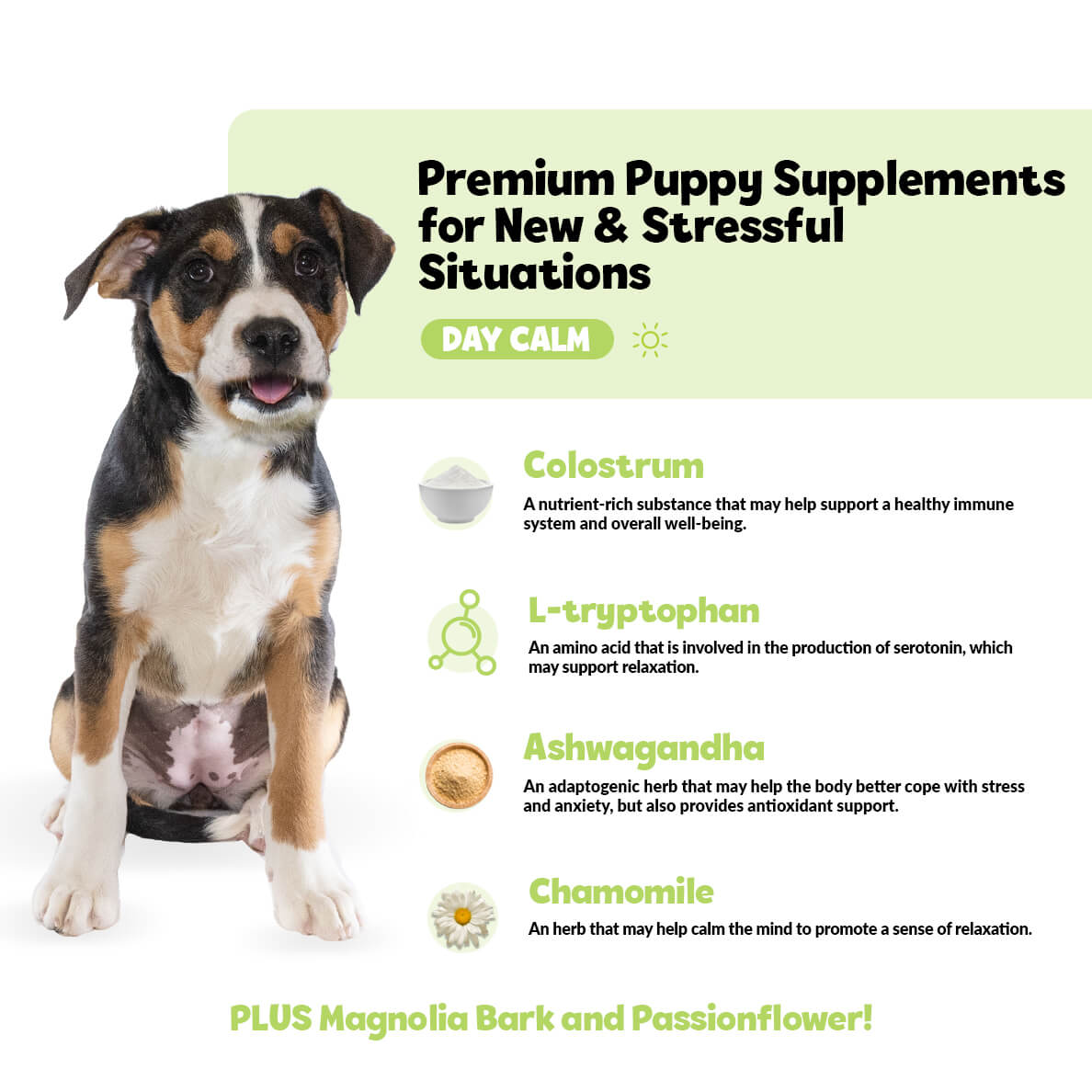 Puppy Bites Day Calm Natural Anxiety Relief Supplement for Young Dogs ...