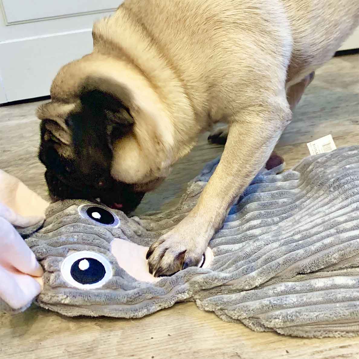 TenderTuffs Donkey YouFill Squeaky Water Bottle Dog Toy Snuggle Puppy