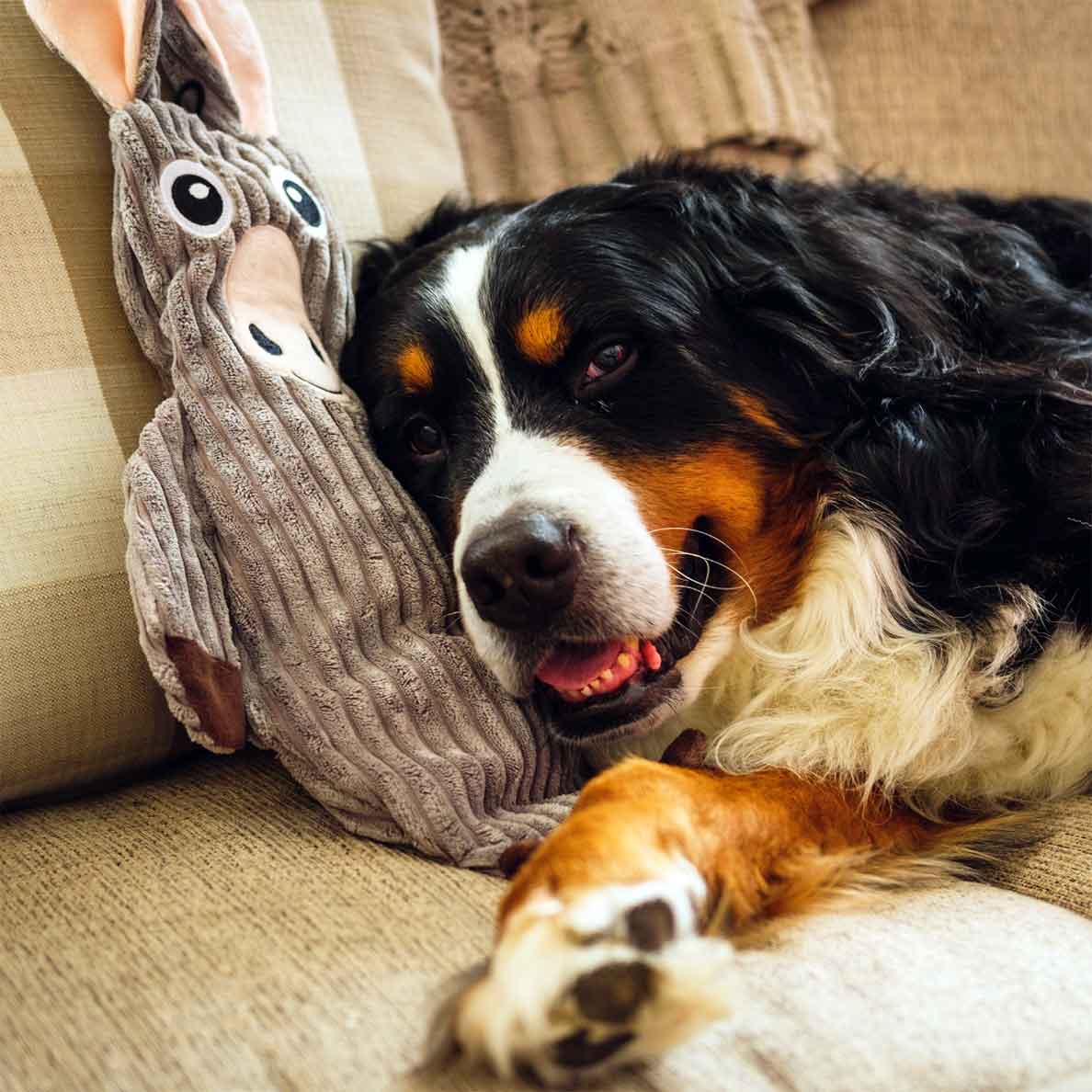 TenderTuffs Donkey YouFill Squeaky Water Bottle Dog Toy Snuggle Puppy