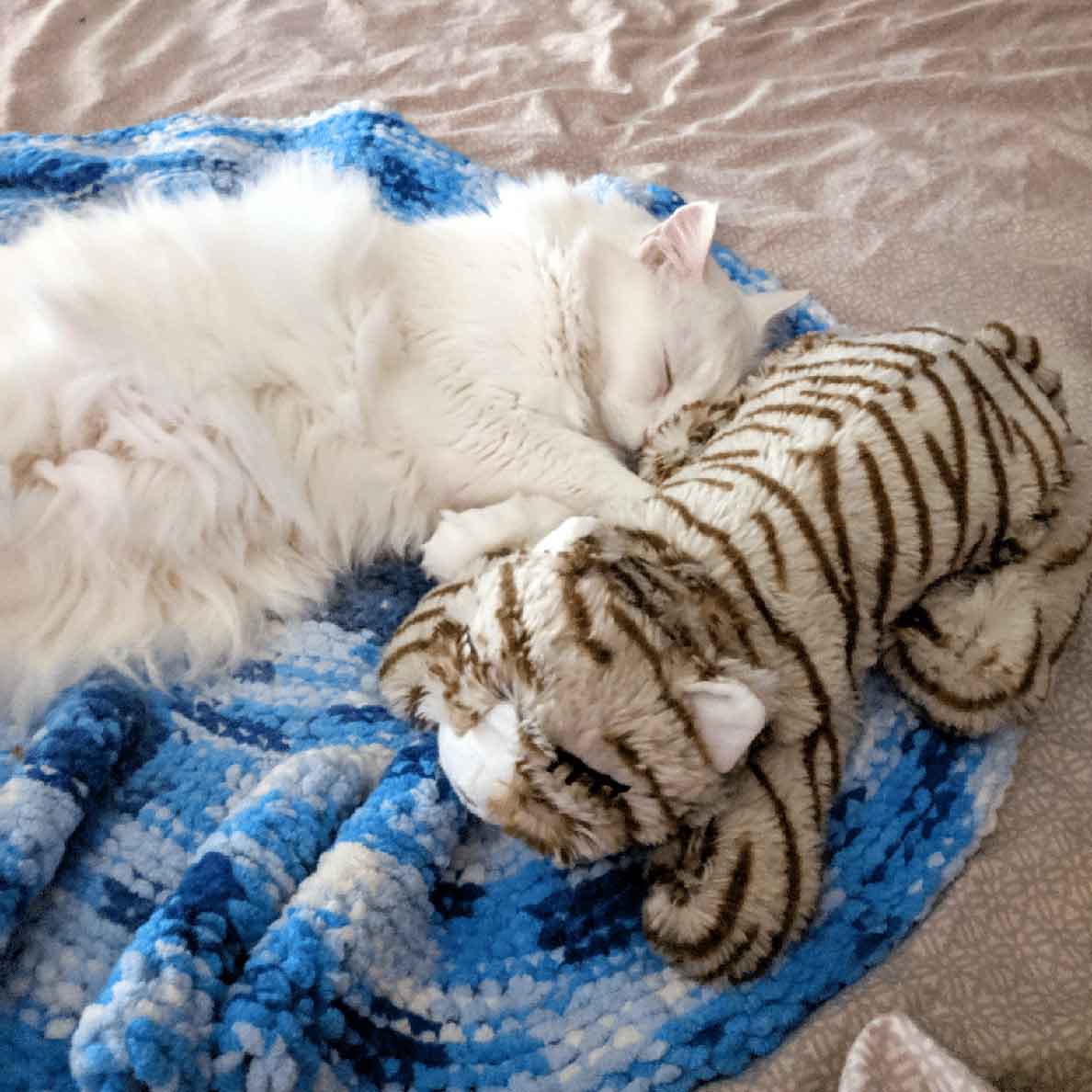 White cat laying on a blanket and cuddling with a Snuggle Kitty anxiety relief pet toy