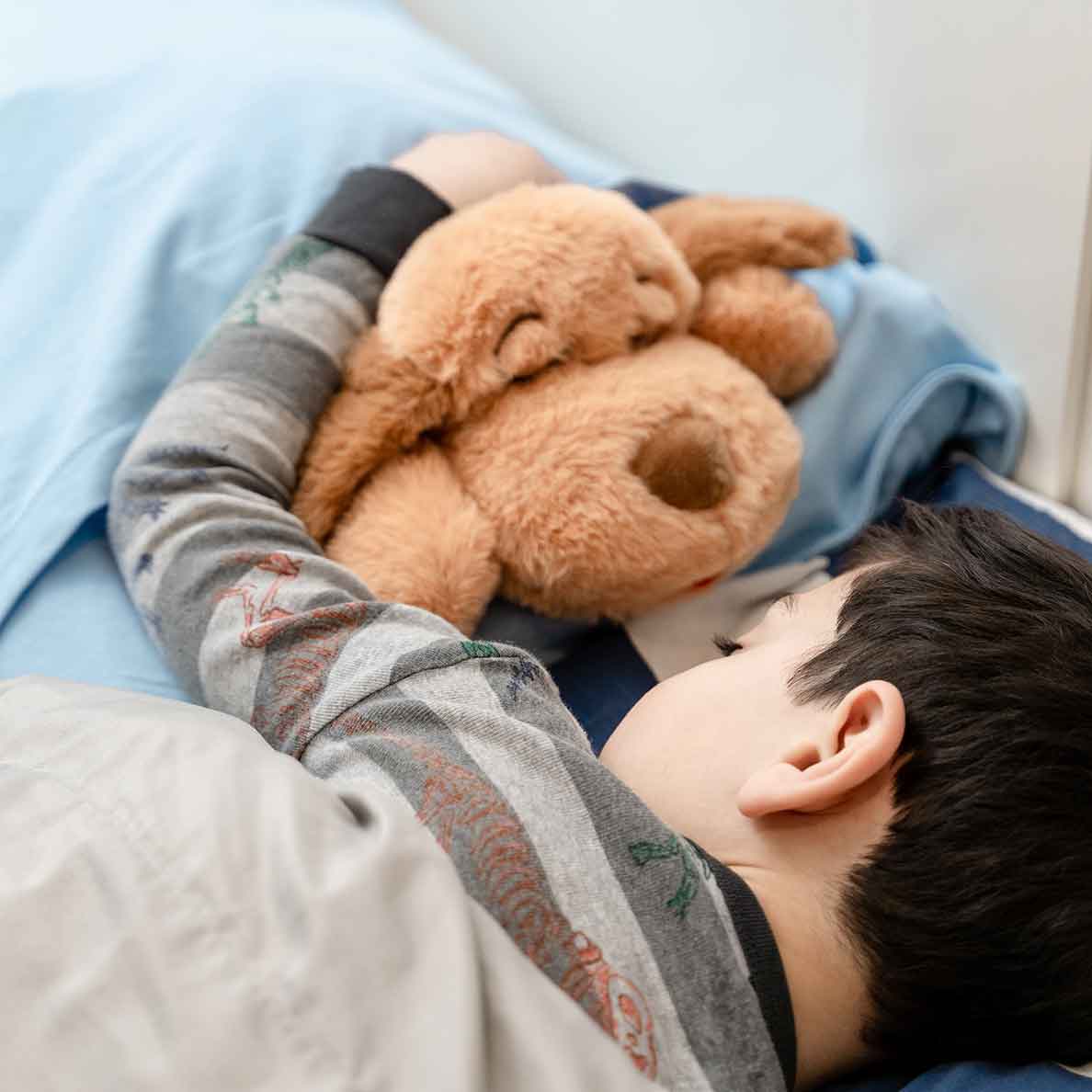 Young boy sleeping next to a Snuggle Puppy Hero with his arm around it