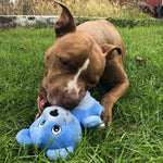 Brown dog laying in grass and playing with a small and soft blue bear dog toy