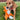 Brown dog laying in the grass outside and playing with orange soft fabric fox dog toy