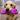 Golden Retriever sitting on carpet with purple fuzzy bone shaped plush dog toy in its mouth
