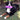 Bernese Mountain Dog laying in yard with purple fuzzy bone-shaped plush dog toy it its mouth