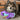 Small fluffy dog laying on carpet and playing with purple and blue seahorse dog toy